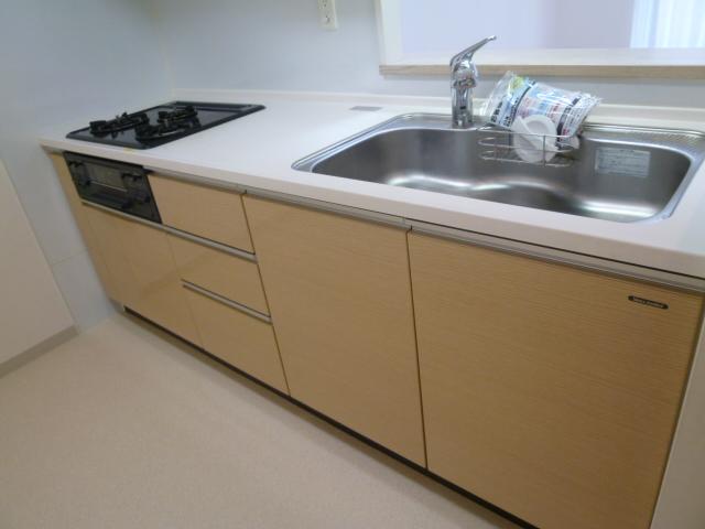 Kitchen. Indoor (10 May 2013) Shooting