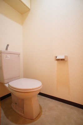 Toilet. There is accommodated in the upper part