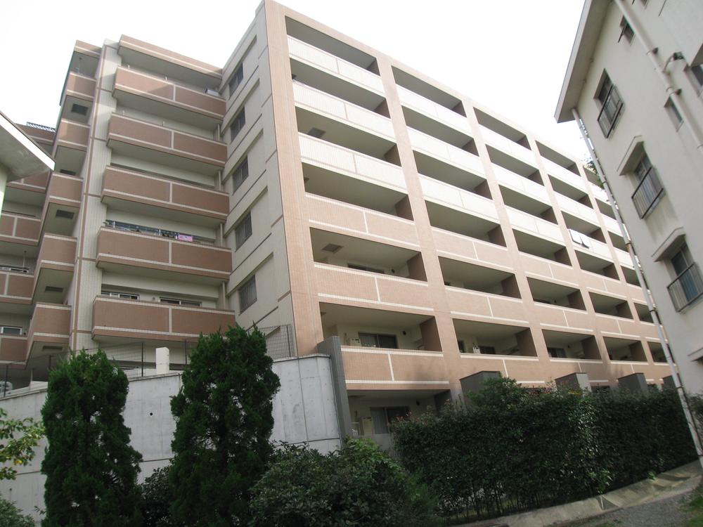 Local appearance photo. local