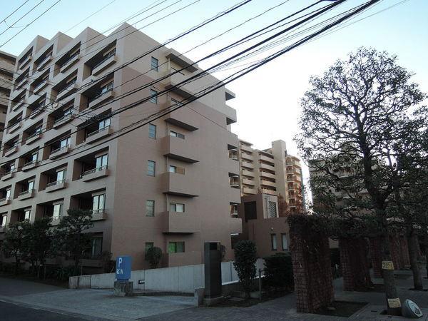 Local appearance photo. local