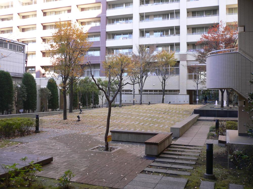 Other common areas. Courtyard (babbling Mori)