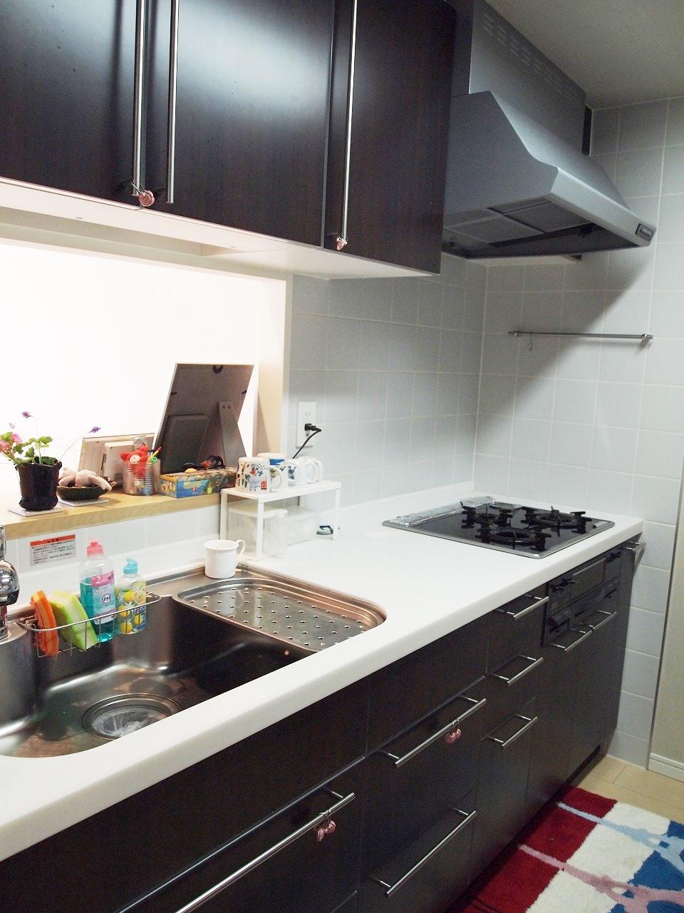 Kitchen. Indoor (11 May 2013) Shooting