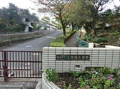 Other local. Above Terao elementary school