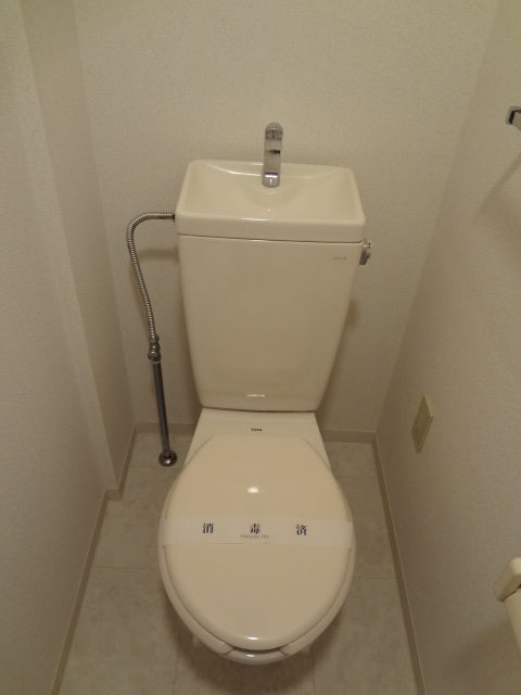 Toilet. Photo is a thing of 304, Room.