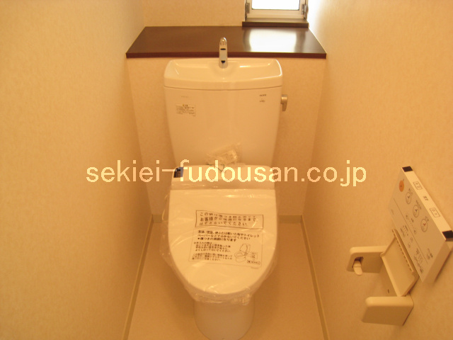 Toilet. Bidet