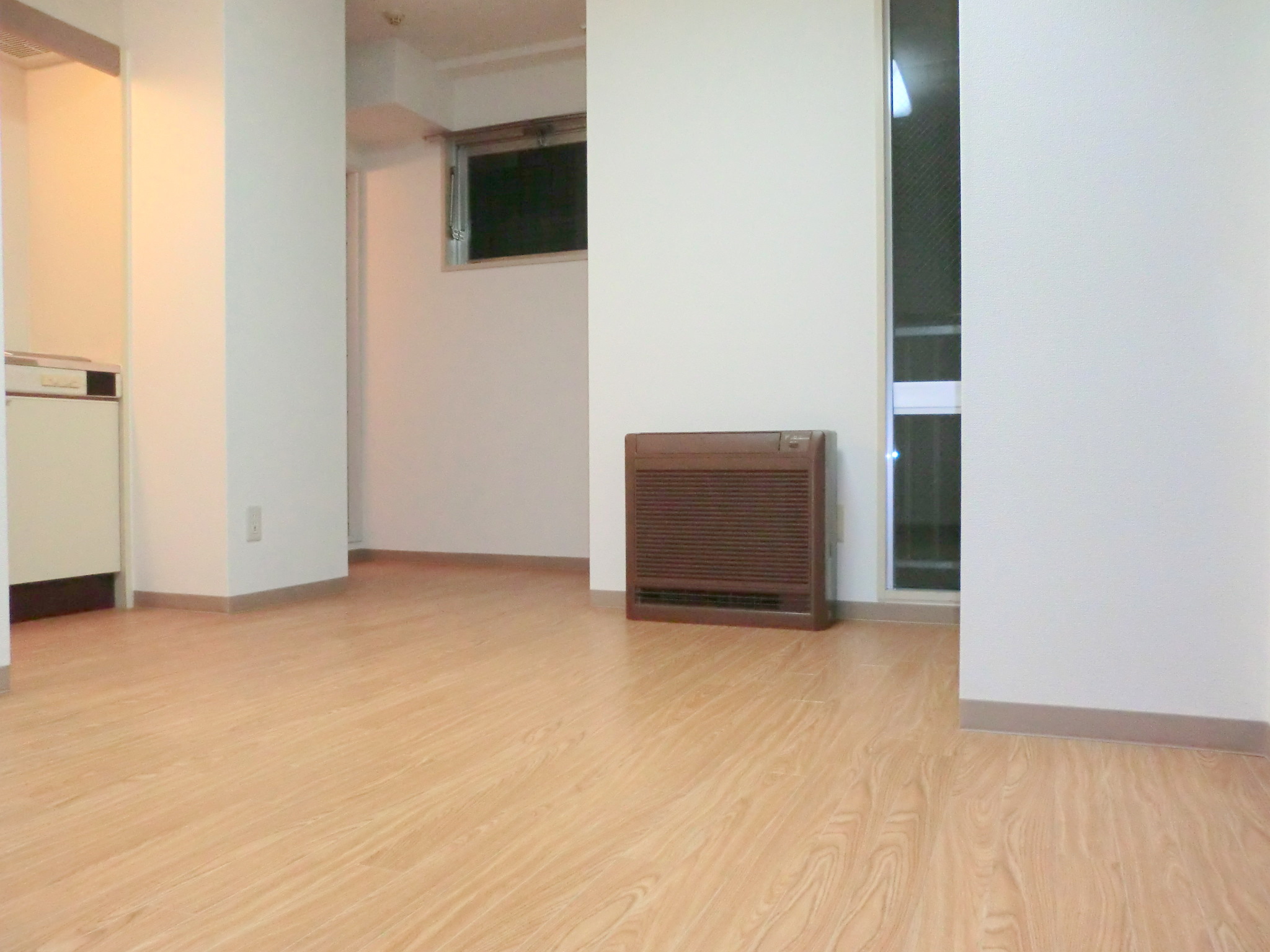 Living and room. Kitchen