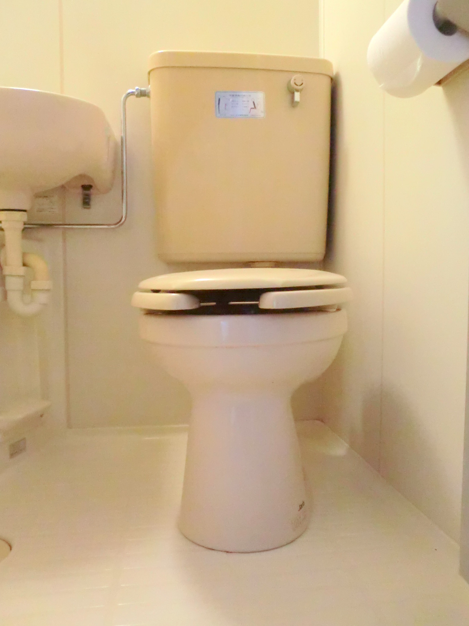 Toilet. Toilet