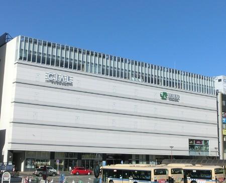 Shopping centre. Honeys Shiaru to Tsurumi shop 719m