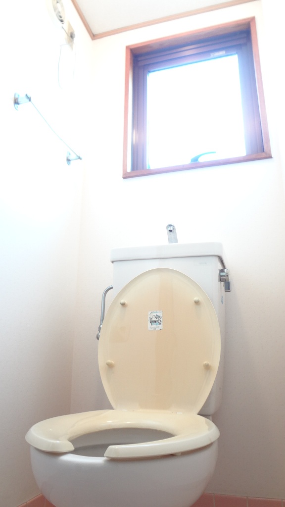 Toilet. Toilet bright