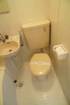 Toilet. The photograph is the other room