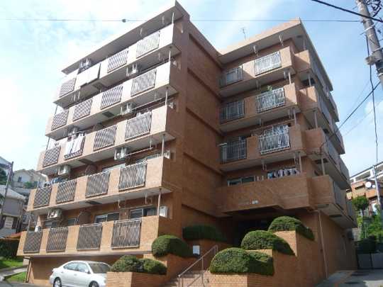 Local appearance photo. Appearance 1