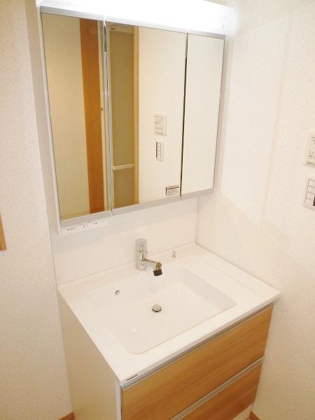 Wash basin, toilet. Bathroom vanity