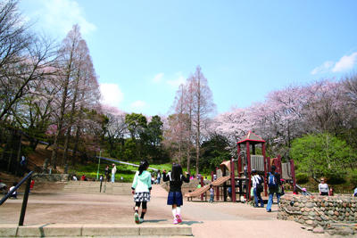 park. Until Mitsuike park 720m