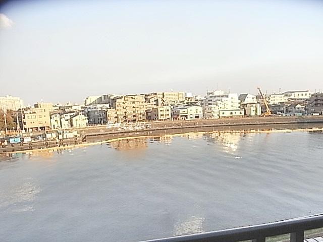 View photos from the dwelling unit. View from local