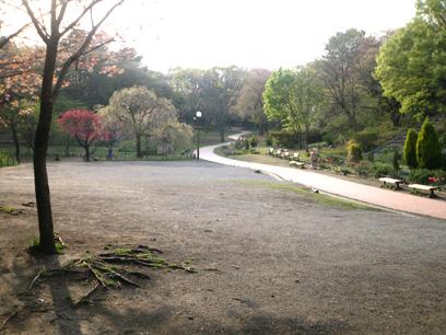 park. Until Mitsuikekoen 1455m