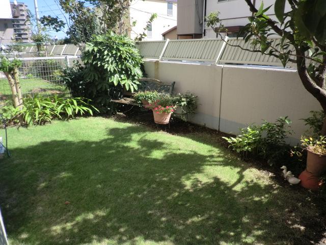 Garden. Local (September 2013) Shooting