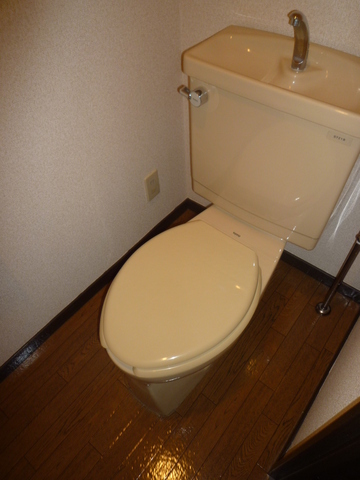 Toilet.  ☆  ☆ toilet ☆  ☆