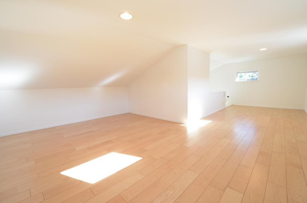 Other. Indoor (11 May 2013) Shooting