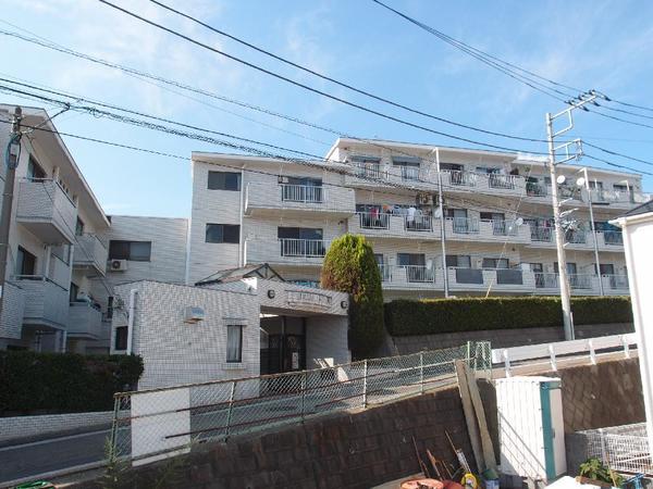 Local appearance photo. Local shooting