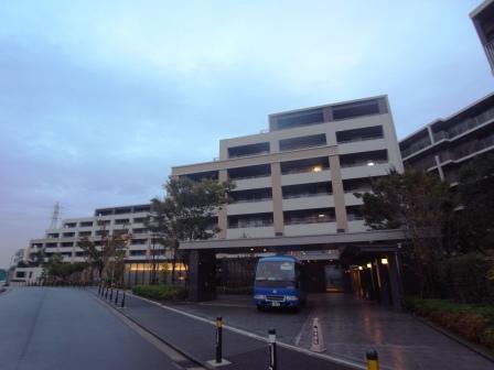 Local appearance photo. Large-scale properties of the total number of units 497 units