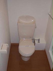 Toilet. Current state priority