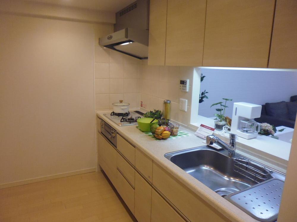 Kitchen. Indoor shooting