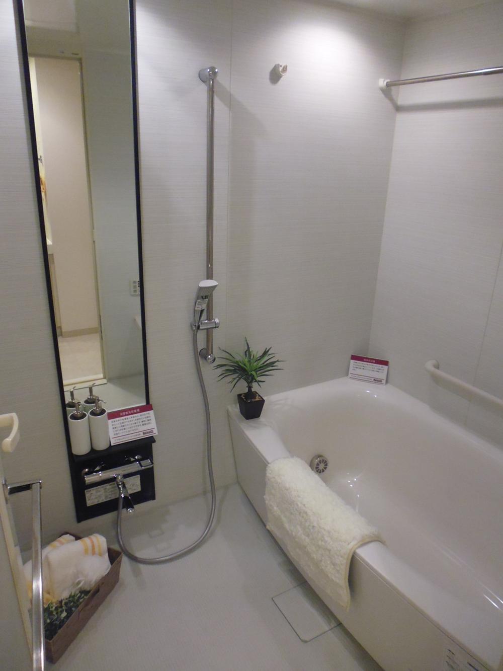 Bathroom. Indoor shooting