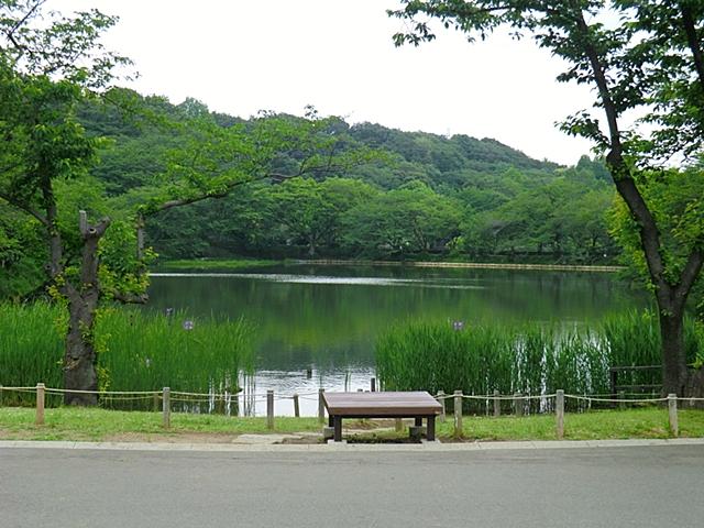 park. It is a comprehensive park of 800m Prefectural to Mitsuikekoen. It is the flower attractions about even entering the "100 best Japanese cherry blossoms.". In addition to the three ponds that became the origin of the name, Baseball field and tennis courts, There is also a swimming pool.