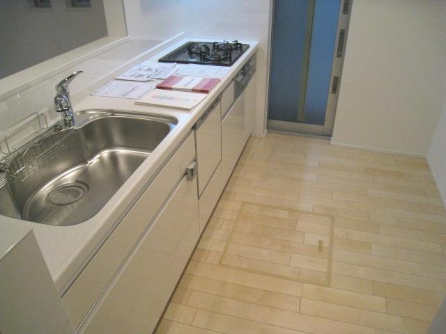 Kitchen. Indoor (11 May 2013) Shooting