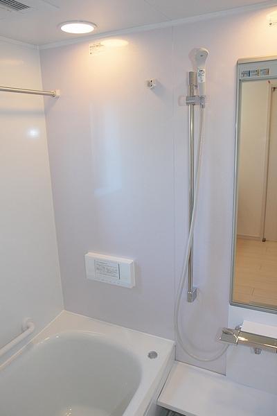 Bathroom. Indoor (10 May 2013) Shooting