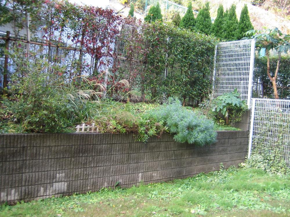 Garden. Private garden