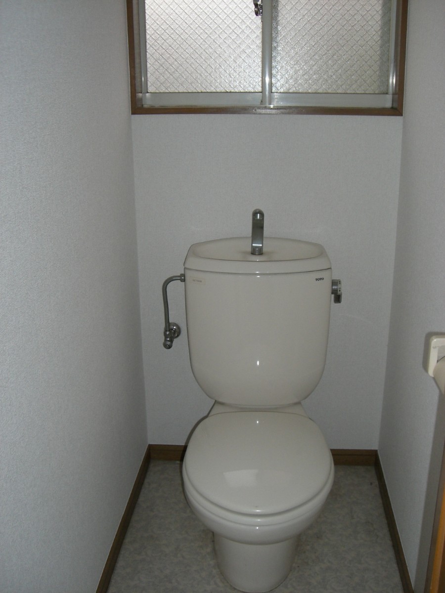 Toilet. Toilet