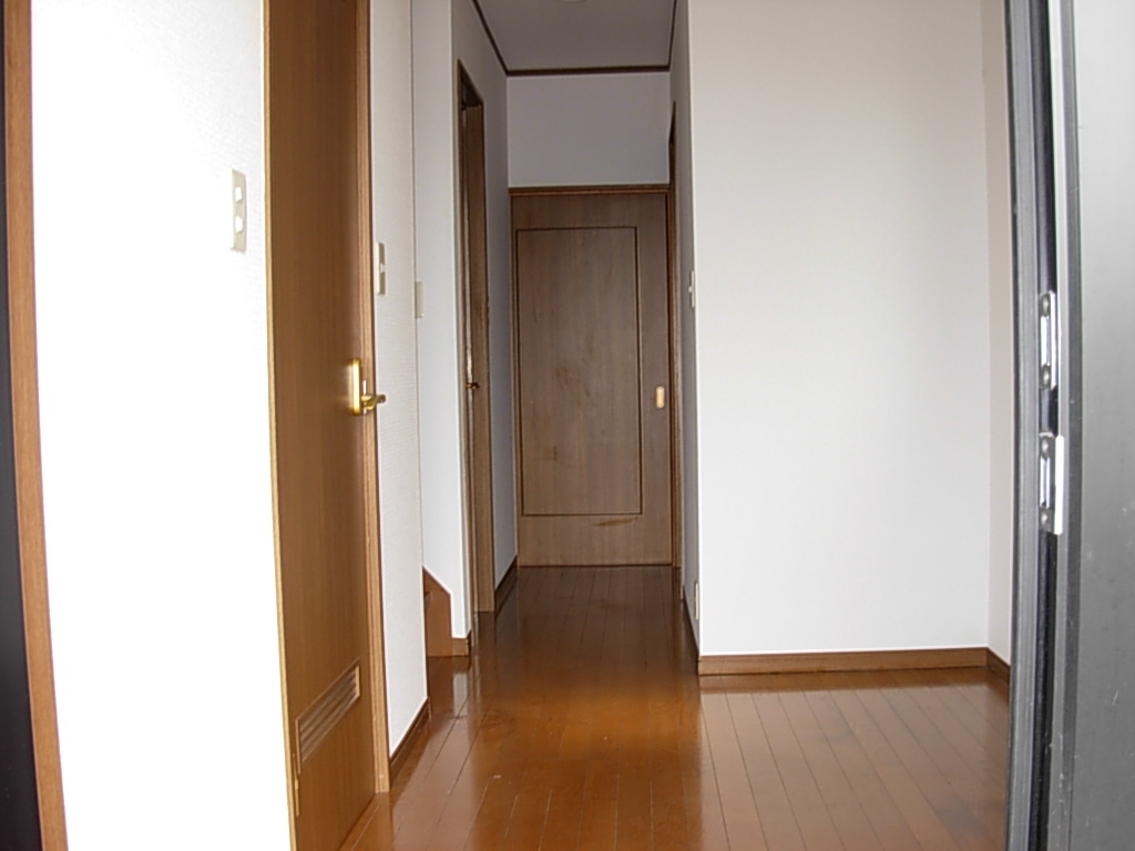 Entrance. Corridor