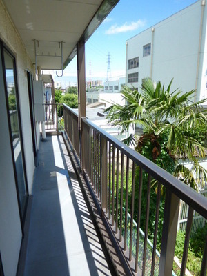 View. South-facing veranda