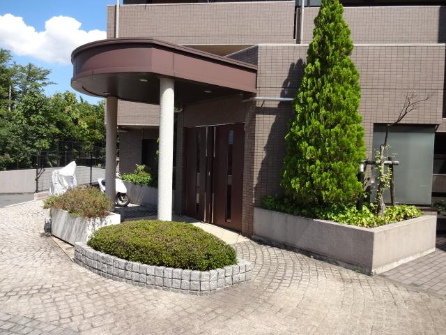 Entrance. Common areas