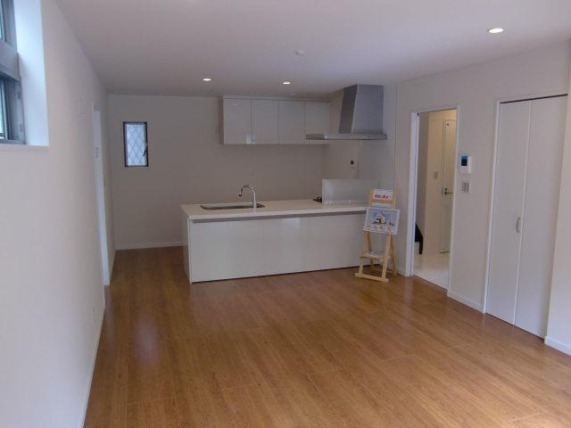 Living. Indoor (11 May 2013) Shooting