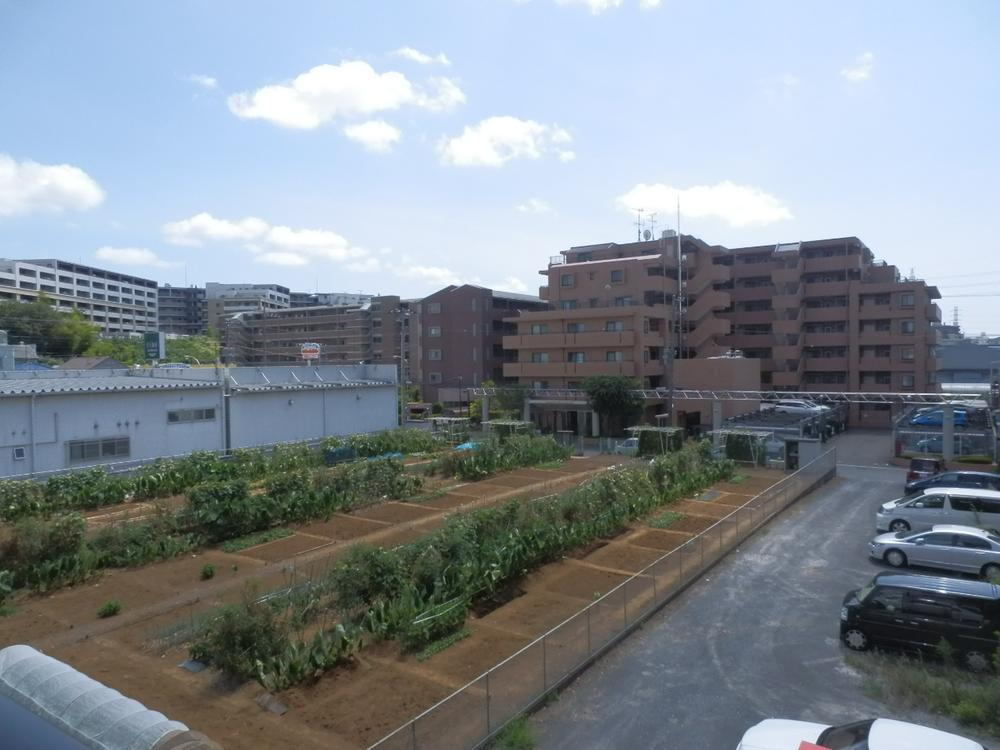 Other local. Local (August 2013) Shooting