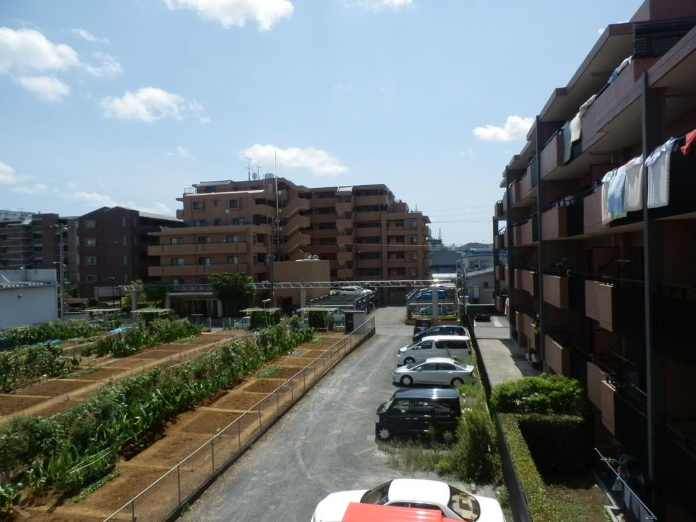 Other local. Local (August 2013) Shooting