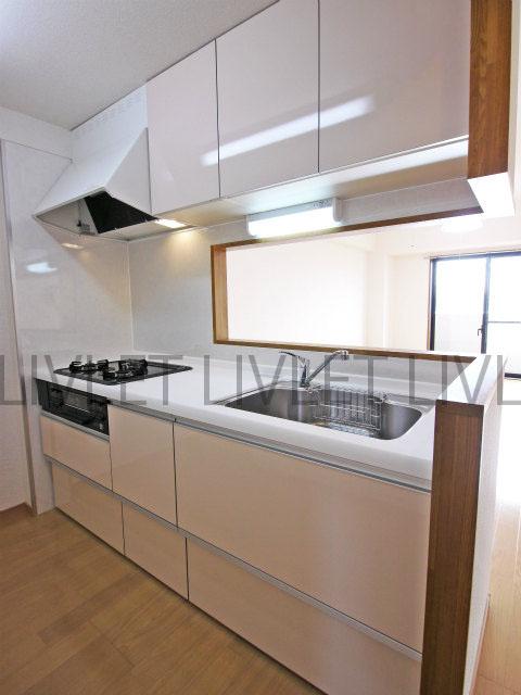 Kitchen. Indoor (12 May 2013) Shooting