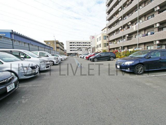 Parking lot. Common areas