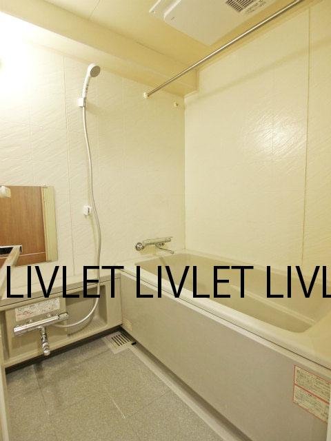 Bathroom. Indoor (12 May 2013) Shooting