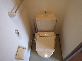 Toilet. Please feel free to contact us