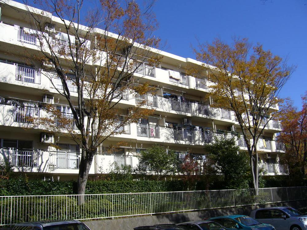 Local appearance photo. Local (11 May 2013) Shooting