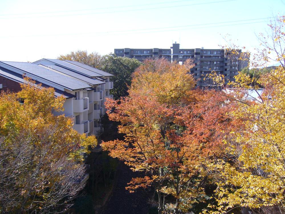 View photos from the dwelling unit. View from the site (November 2013) Shooting