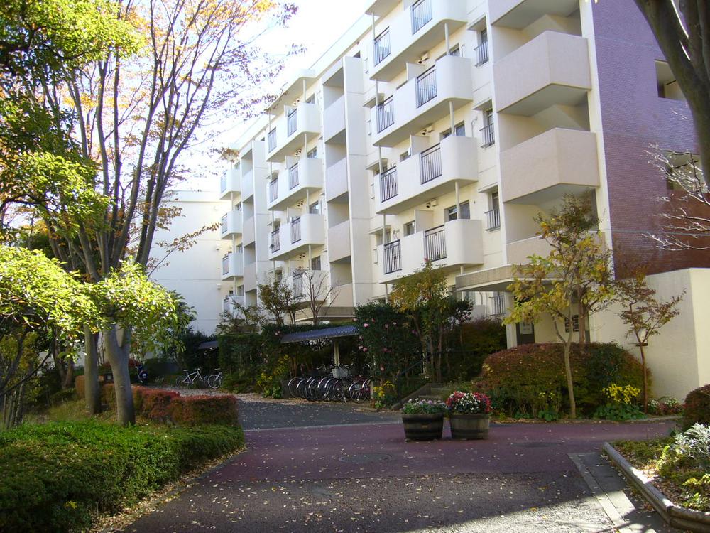 Local appearance photo. Local (11 May 2013) Shooting