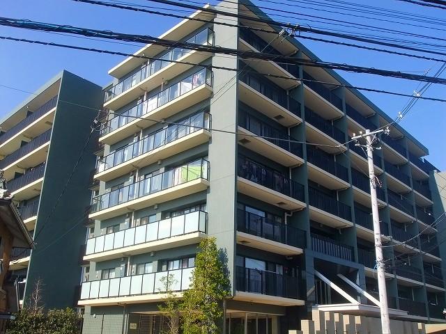 Local appearance photo. Indoor (12 May 2013) Shooting