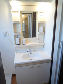 Washroom. Bathroom vanity