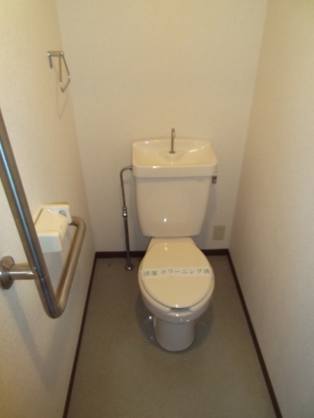 Toilet. Western-style toilet