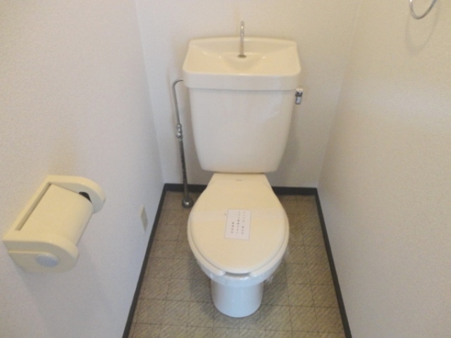 Toilet. It is a Western-style with a clean