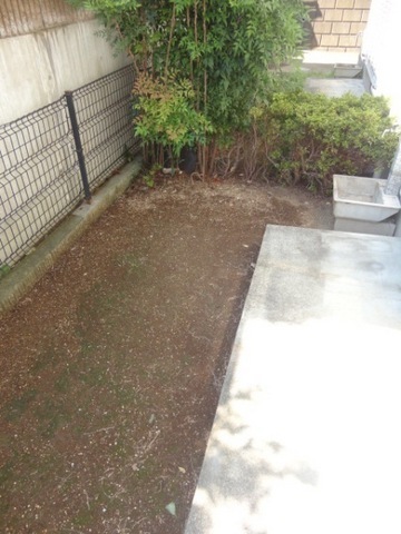 Garden. Balconies